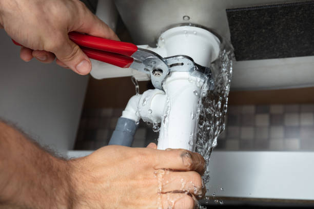 Best Fire Damage Restoration  in Neodesha, KS