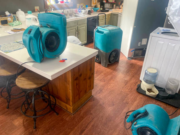 Best Water damage cleanup near me  in Neodesha, KS