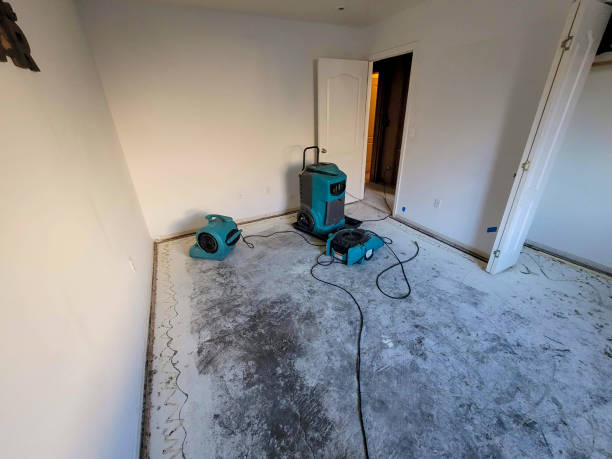 Best Carpet water damage restoration  in Neodesha, KS
