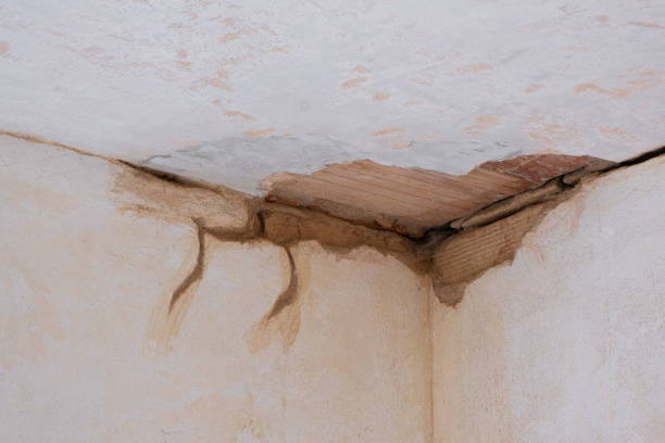 Best Water damage restoration near me  in Neodesha, KS