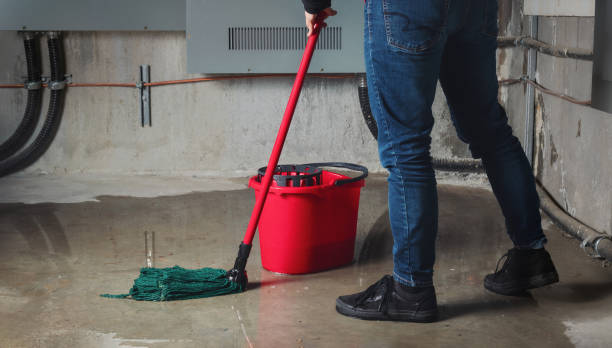 Best Sewage cleanup and water damage restoration  in Neodesha, KS