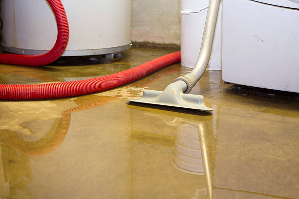 Best Sewage cleanup and water damage restoration  in Neodesha, KS