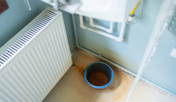 Best Basement water damage restoration  in Neodesha, KS